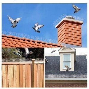 Bird Spikes!